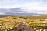 Склон горы Рыпнецк, вид на Умбозеро и Ловозёры